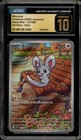 Minccino