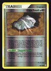 Claw Fossil