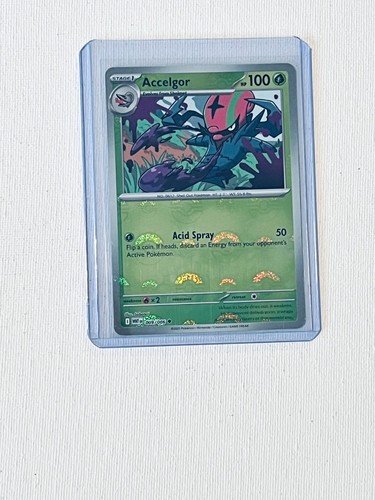 Accelgor
