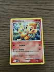 Chimchar