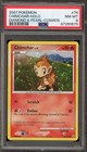 Chimchar