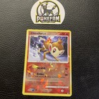 Chimchar
