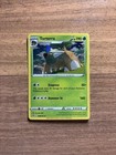 Torterra