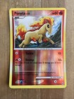 Ponyta
