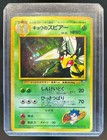 Koga's Beedrill