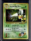 Koga's Beedrill