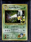 Koga's Beedrill