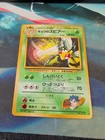 Koga's Beedrill