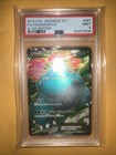 Venusaur EX