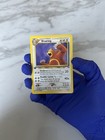 Ursaring