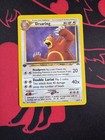 Ursaring