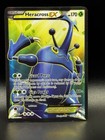 Heracross EX