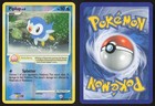 Piplup