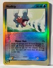 Mudkip