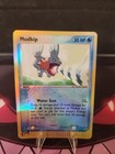 Mudkip