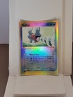 Mudkip