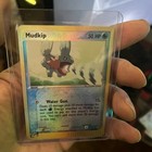Mudkip