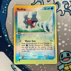 Mudkip