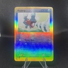 Mudkip