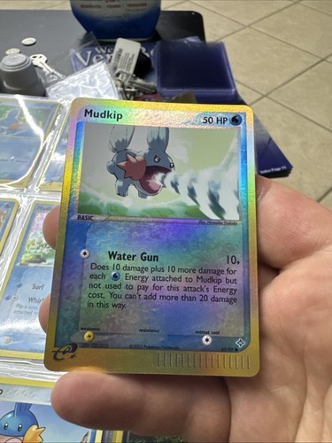 Mudkip