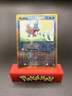 Mudkip