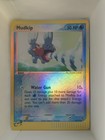 Mudkip