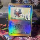 Mudkip