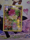 Shaymin