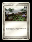 Windstorm