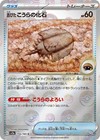 Old Dome Fossil