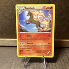 Rapidash