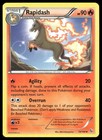 Rapidash