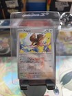 Pidgey