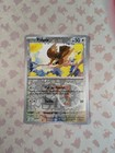 Pidgey