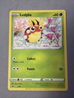 Ledyba