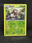 Nuzleaf