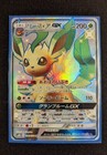 Leafeon GX