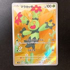 Maractus