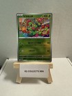 Maractus