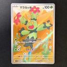 Maractus