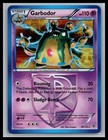 Garbodor