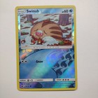 Swinub