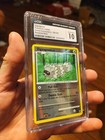 Zigzagoon