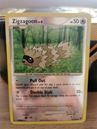 Zigzagoon