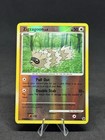 Zigzagoon