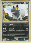 Poochyena