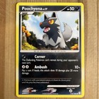 Poochyena