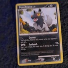 Poochyena