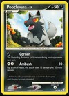Poochyena