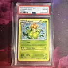 Tepig